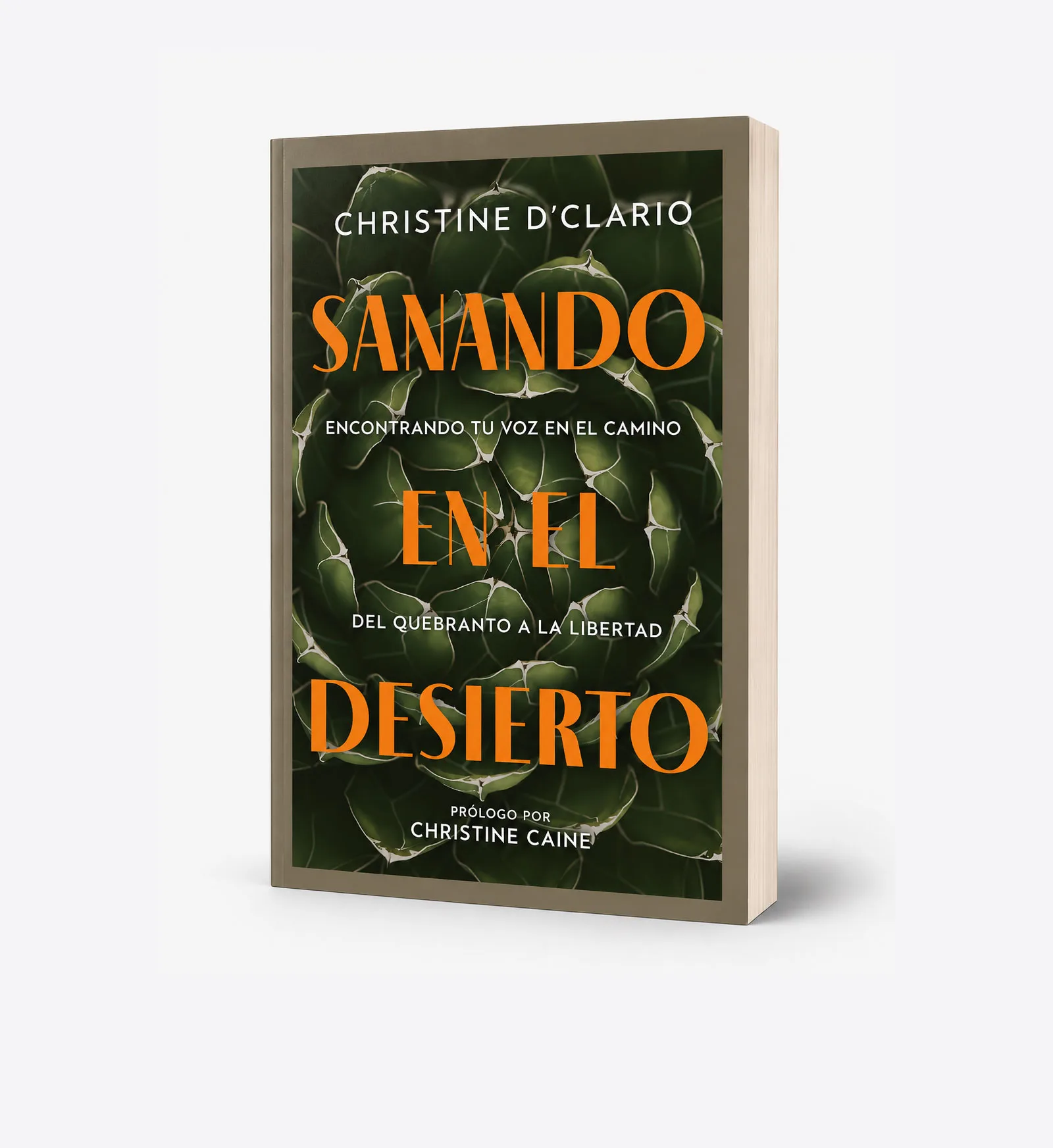 Sanando en el desierto